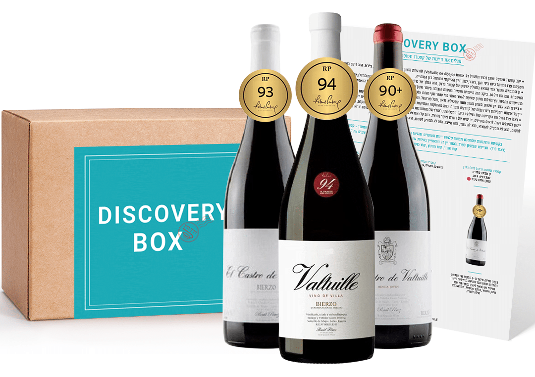 דיסקברי בוקס קסטרו ונטוסה (ראול פרז)